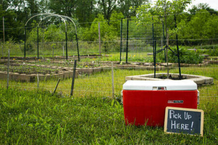 3 Options for Turning Farm Refuse into Revenue Image